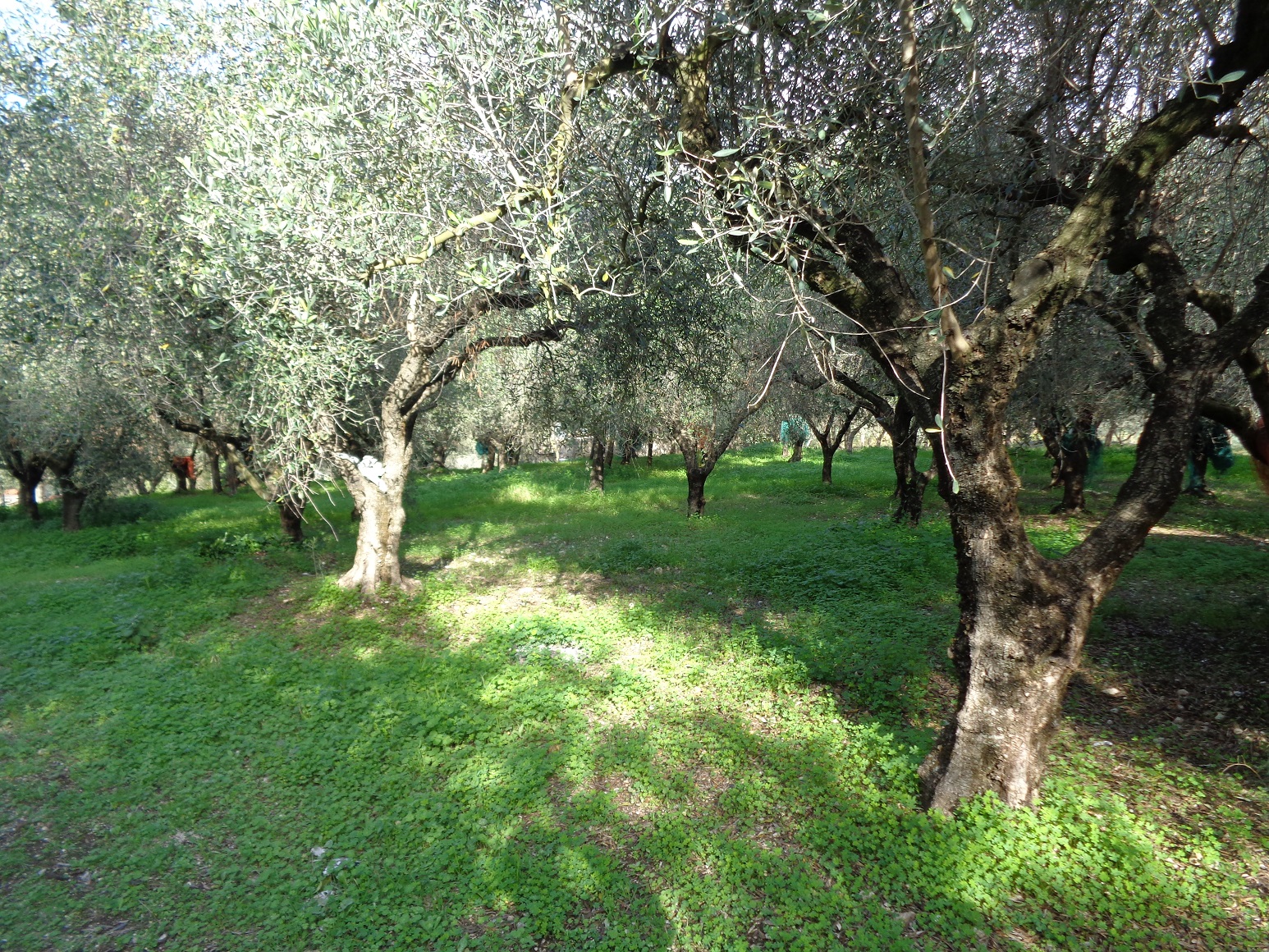 DSC02687