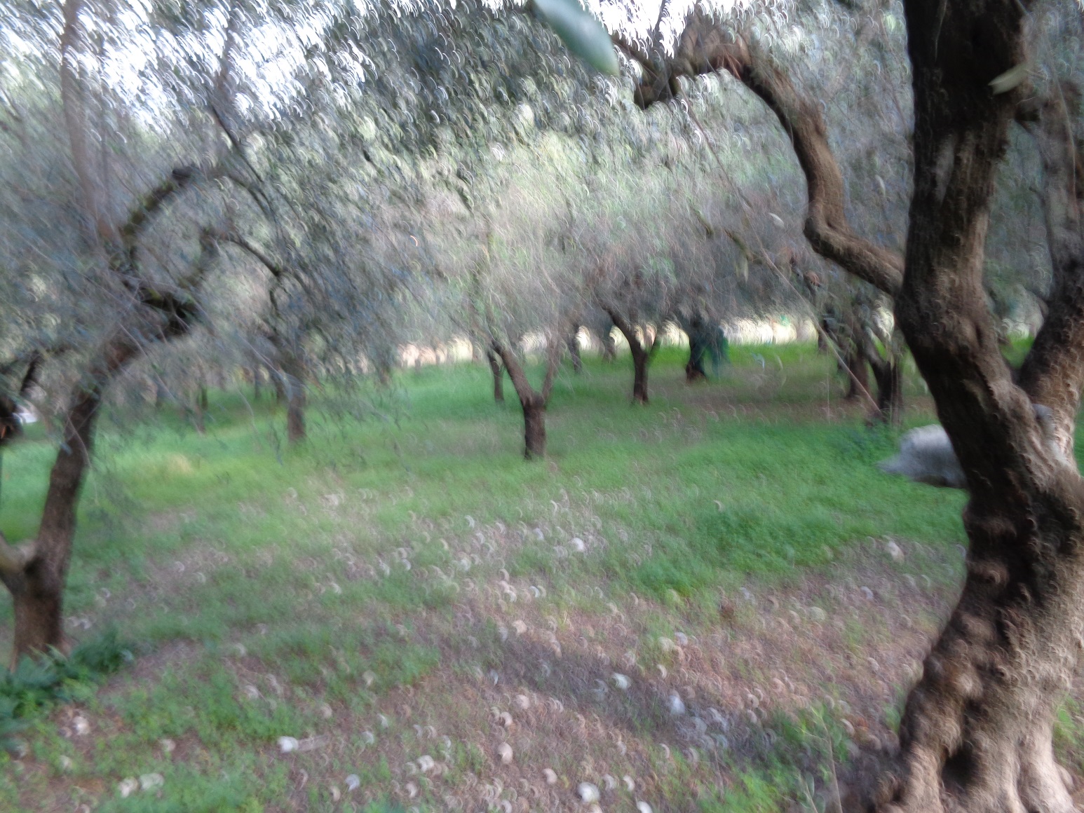 DSC02689