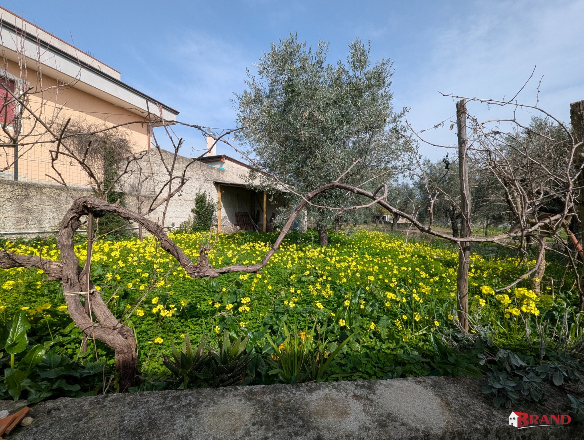 _WhatsApp Image 2026-03-25 at 17.36.45 (2)