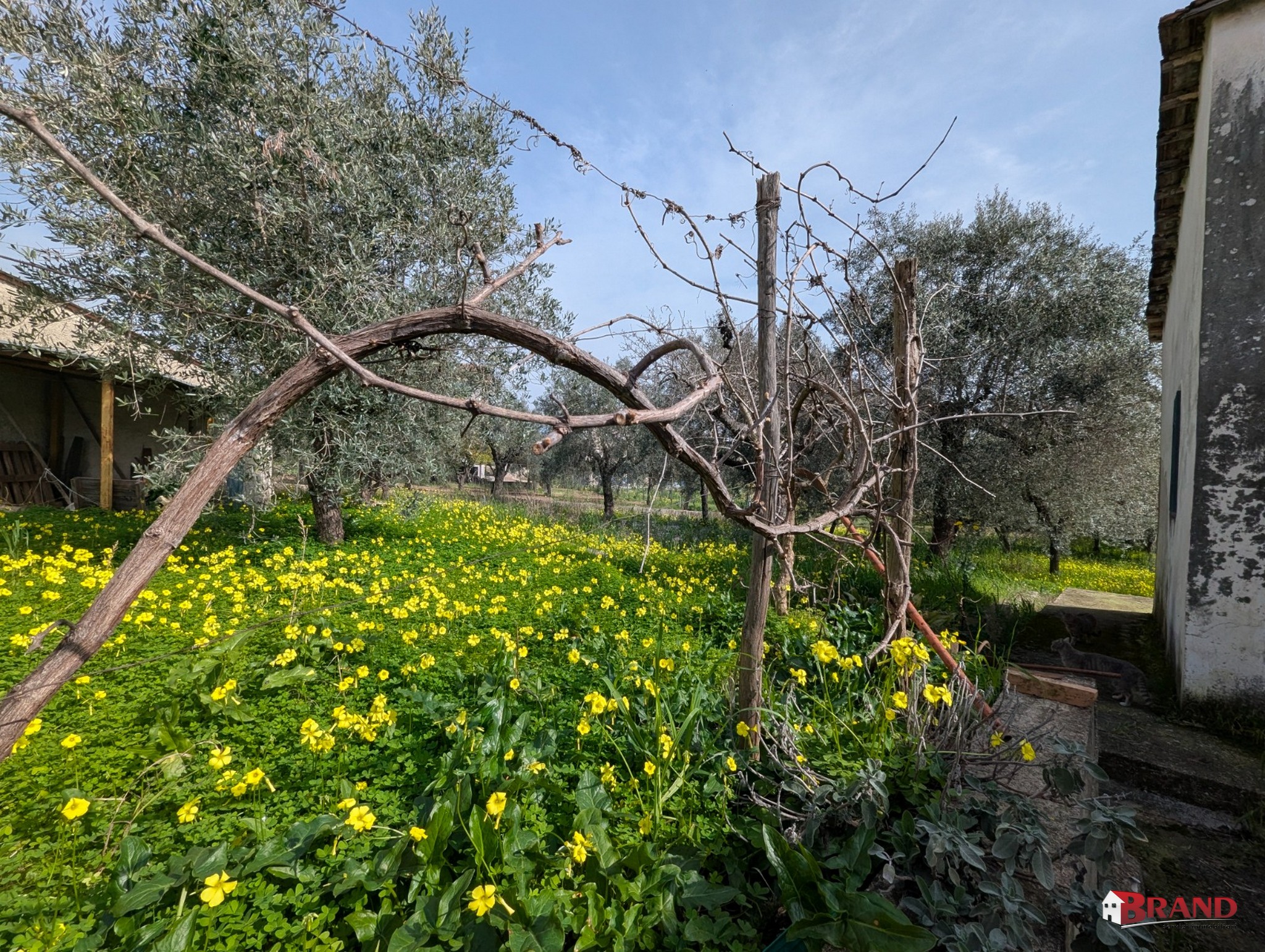 _WhatsApp Image 2026-03-25 at 17.36.45 (3)