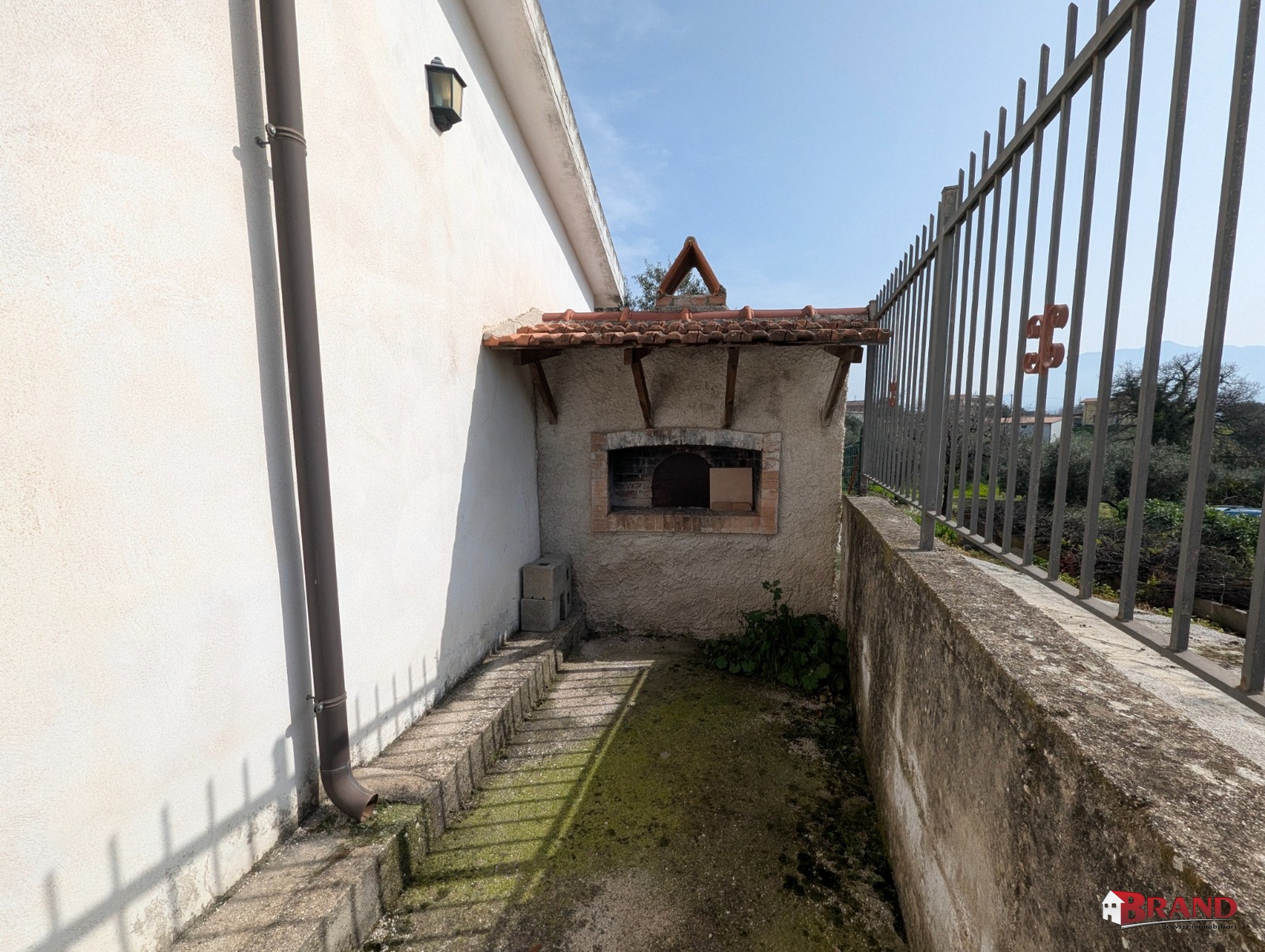 _WhatsApp Image 2026-03-25 at 17.36.45